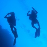 Klub nurkowy - Diver24
