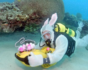Nurkowanie z Jajem - Wielkanoc - Diver24