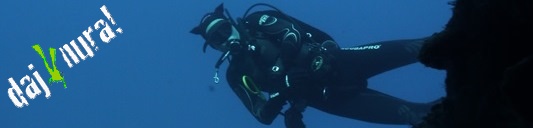 Szkolenia i kursy - Diver24
