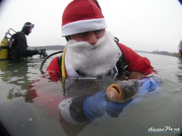 Gwiazdka w bazie nurkowej Diver24