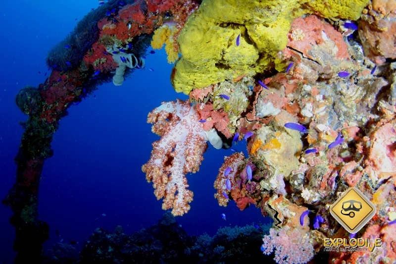 Laguna Truk - Wyprawa nurkowa ExploDive - Mikronezja