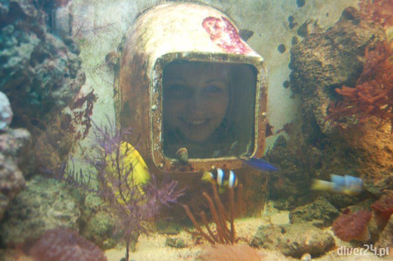 Diving Museum