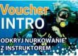 voucher_intro