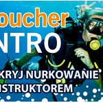 voucher_intro